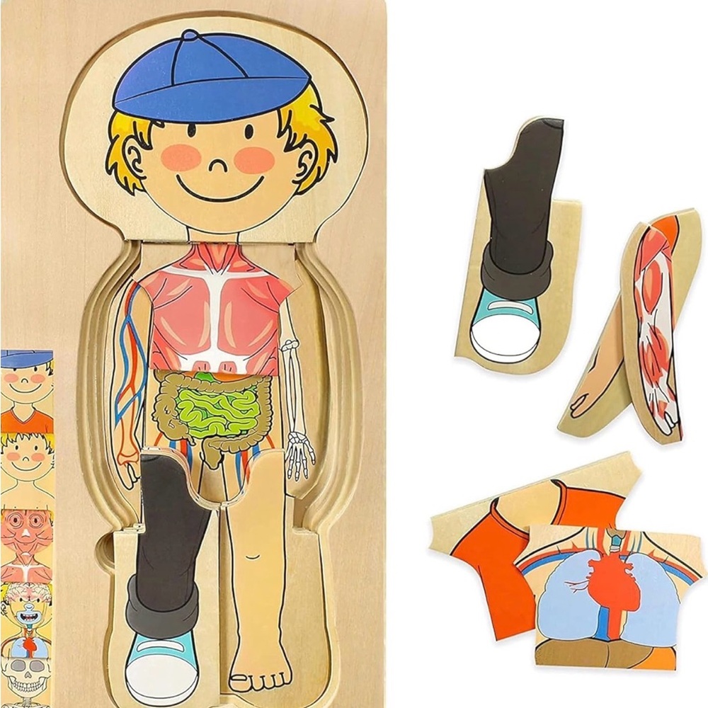 Boy Anatomy Puzzle - Picture 6 of 8
